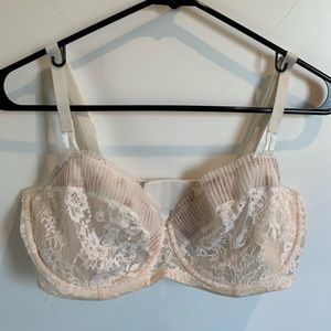 Dream Angels • 36DDD